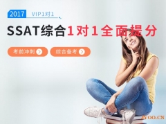 SSAT~RһһSSAT~RCς俼_